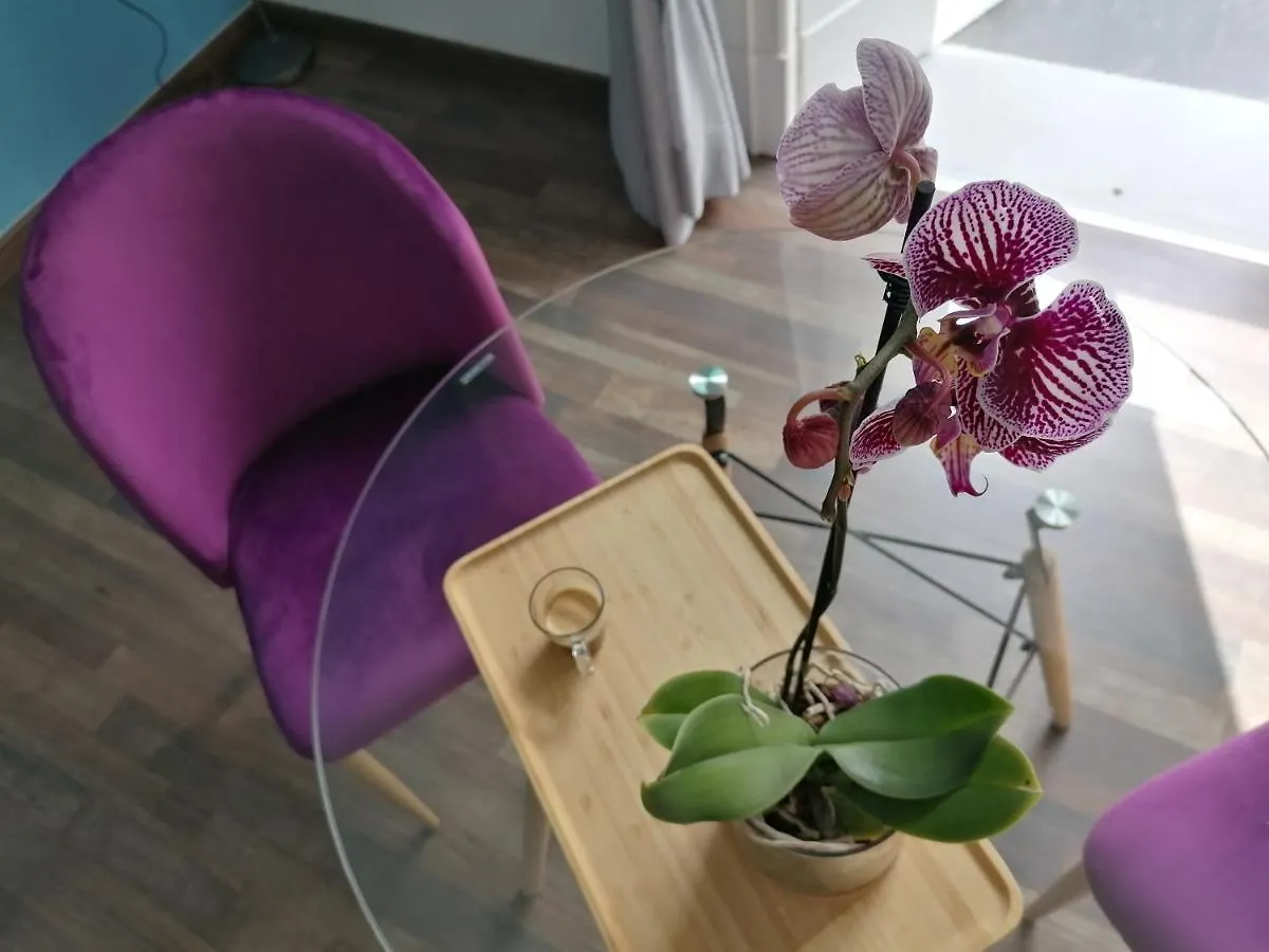 Bed & Breakfast B&B Una Finestra Sul Duomo Naples Italy