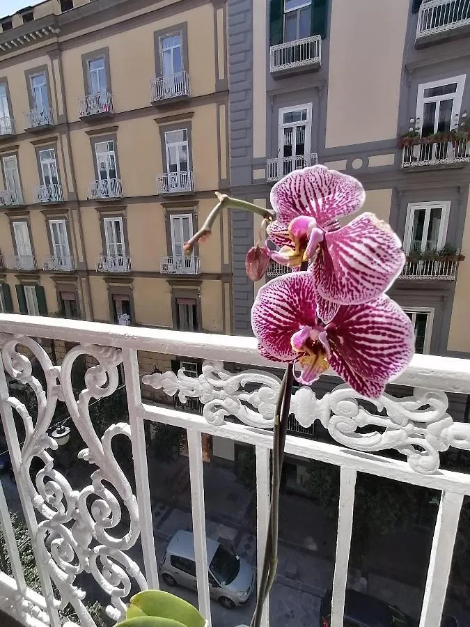 B&B Una Finestra Sul Duomo Naples 0*,  Italy